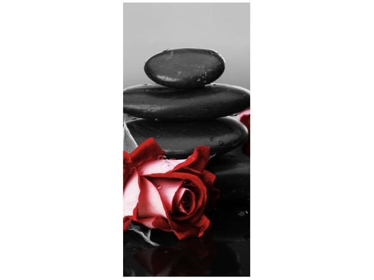 Fototapeta Czerwone róże, 95x205 cm Oobrazy