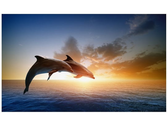 Fototapeta, Delfiny, 9 elementów, 402x240 cm Oobrazy