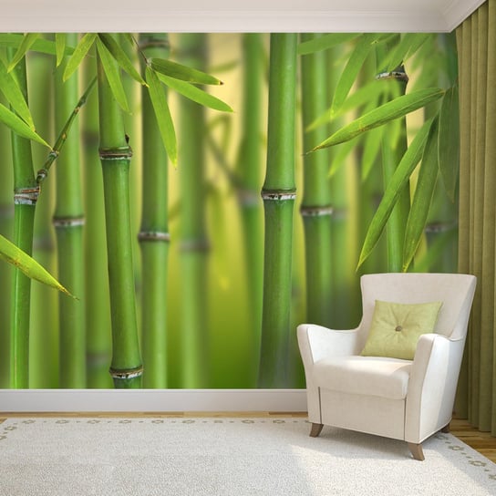 Fototapeta DEMURAL Bambus FDB277-M 110x255 cm Demural