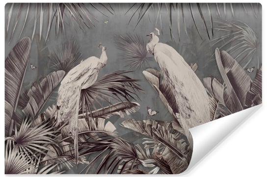 Fototapeta Do Salonu Białe PAWIE Ptaki Liście Tropikalne Styl Retro 450cm x 300cm Muralo