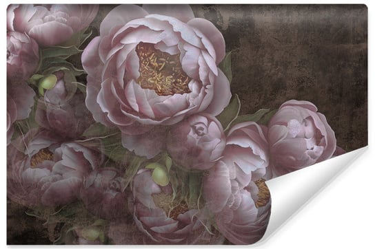 Fototapeta Do Salonu KWIATY Peonie Abstrakcja Styl Vintage 360cm x 240cm Muralo