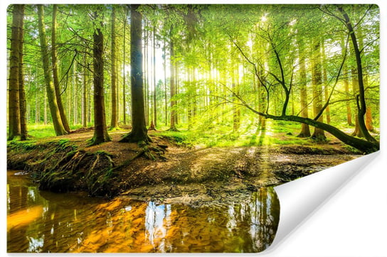Fototapeta do Salonu LAS Drzewa Rzeka w 3D 135cm x 90cm Muralo