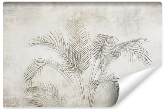 Fototapeta Do Salonu LIŚCIE Palmowe Natura Beton Abstrakcja 300cm x 210cm Muralo