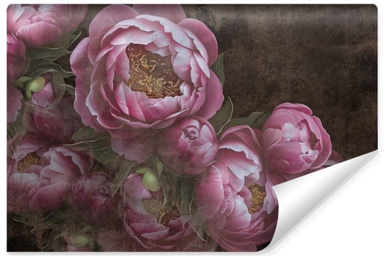 Fototapeta Do Salonu PIWONIE Peonie Kwiaty Abstrakcja Beton Styl Retro 135cm x 90cm Muralo