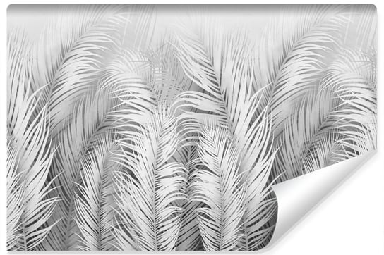 Fototapeta Do Salonu Ścienna LIŚCIE Tropikalne Palmy 450cm x 300cm Muralo