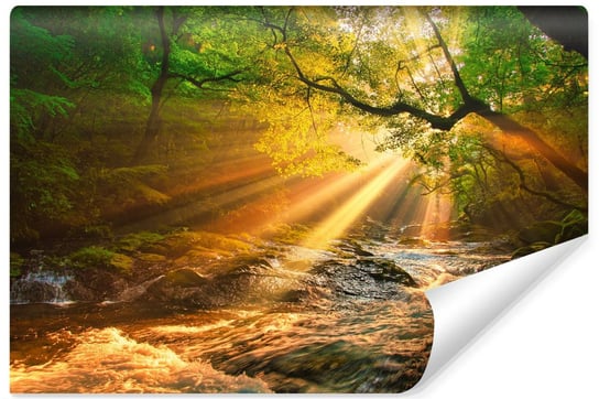 Fototapeta Do Salonu Strumyk LAS Słońce Pejzaż Efekt 3D Natura 368cm x 254cm Muralo