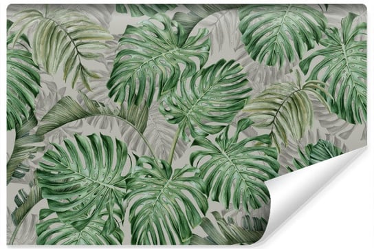 Fototapeta Do Sypialni Egzotycznie Liście MONSTERA Efekt 3D 315cm x 210cm Muralo