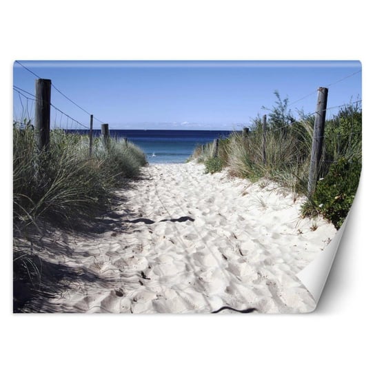 Fototapeta, Droga na plażę wydmy piasek - 200x140 Inna marka