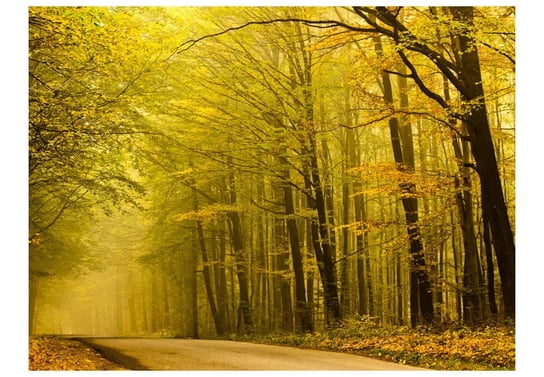 Fototapeta, Droga przez jesienny las, 200X154 DecoNest