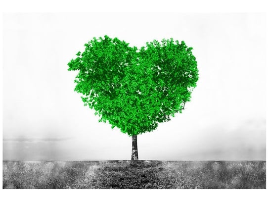 Fototapeta Drzewko miłości, 8 elementów, 400x268 cm Oobrazy