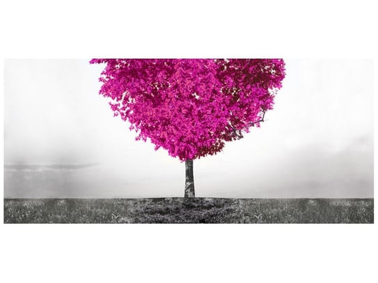 Fototapeta, Drzewo miłości, 12 elementów, 536x240 cm Oobrazy