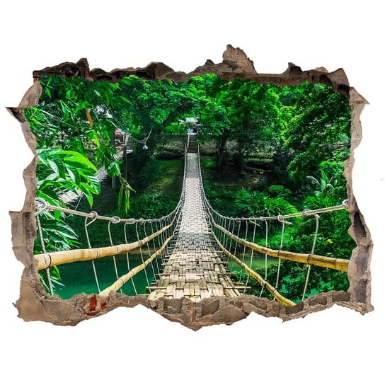 Fototapeta dziura na ścianę 3d Most las tropikalny, Tulup Tulup