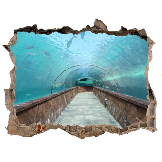 Fototapeta dziura na ścianę 3d Tunel akwarium, Tulup Tulup