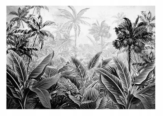 Fototapeta Dżungla CZARNO BIAŁA Las Salon 254x184 cm Consalnet