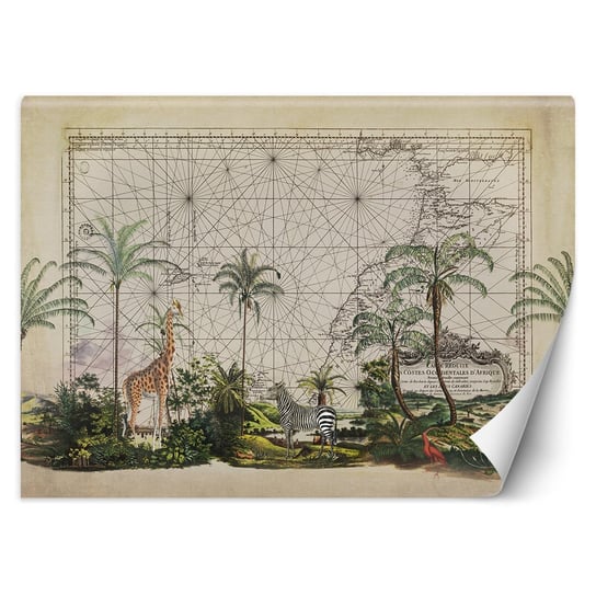 Fototapeta FEEBY, Mapa Palmy Tropical 250x175 Feeby