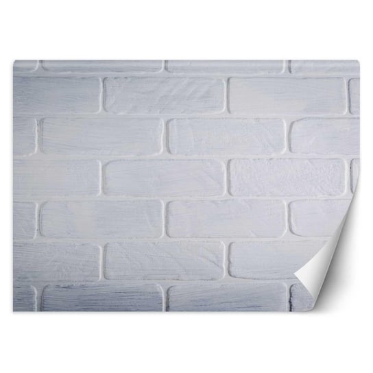 Fototapeta FEEBY Mur z białych cegieł, 100x70 cm Feeby