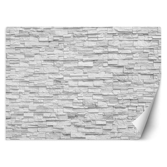 Fototapeta FEEBY Mur z białych kamieni, 100x70 cm Feeby