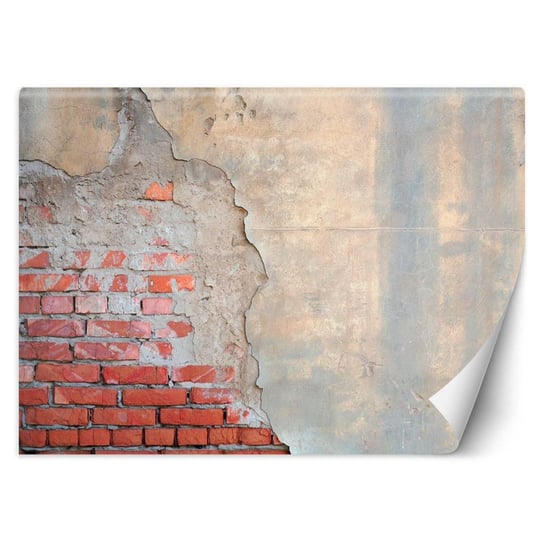 Fototapeta FEEBY Mur z cegły, 100x70 cm Feeby