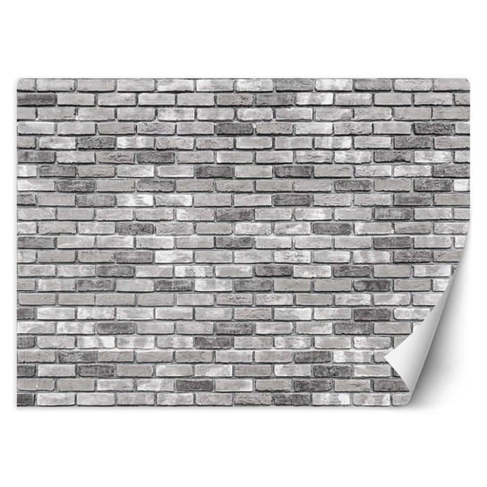 Fototapeta FEEBY Mur z szarej cegły, 100x70 cm Feeby