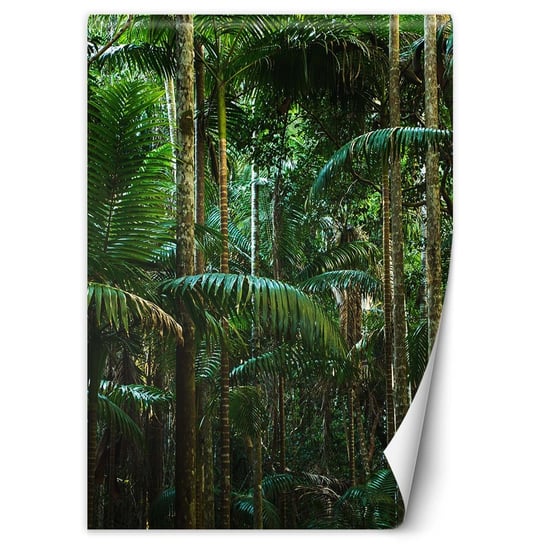 Fototapeta FEEBY, Tropikalne drzewa na wyspie, 100x140 cm Feeby
