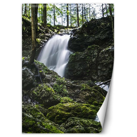 Fototapeta FEEBY, Wodospad w środku lasu, 200x280 cm Feeby