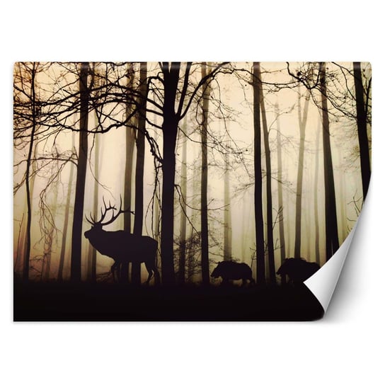 Fototapeta FEEBY Zwierzęta w lesie, 100x70 cm Feeby