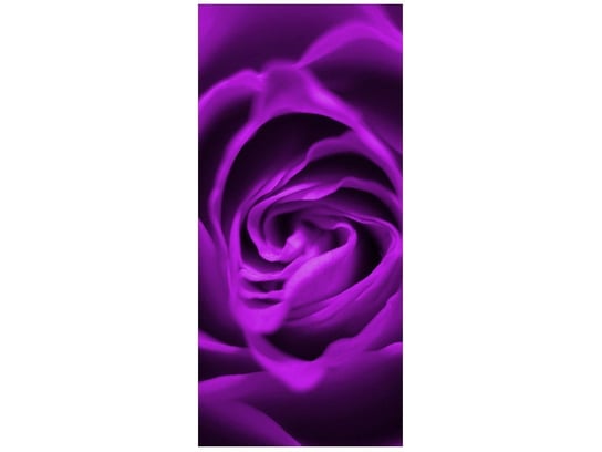 Fototapeta Fioletowa róża, 95x205 cm Oobrazy
