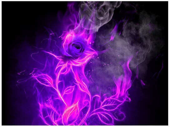 Fototapeta Fioletowy ogień róży, 2 elementy, 200x150 cm Oobrazy