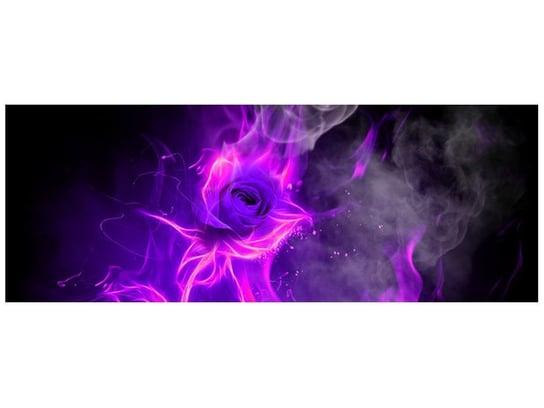 Fototapeta Fioletowy ogień róży, 2 elementy, 268x100 cm Oobrazy