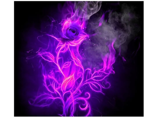Fototapeta Fioletowy ogień róży, 6 elementów, 268x240 cm Oobrazy