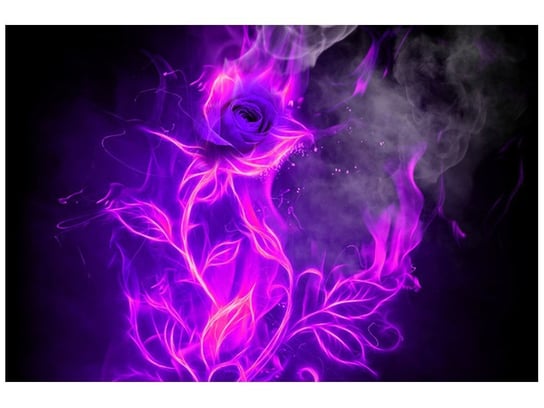 Fototapeta Fioletowy ogień róży, 8 elementów, 400x268 cm Oobrazy
