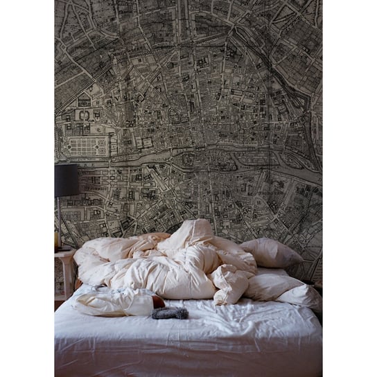 Fototapeta flizelinowa Mapa paryża vintage 254x184 Coloray