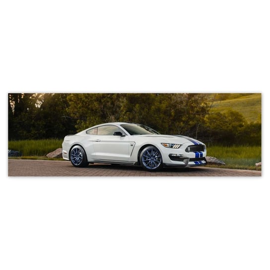 Fototapeta Ford Mustang Samochód USA, 200x66cm ZeSmakiem