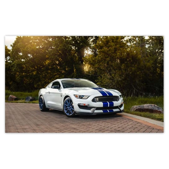 Fototapeta Ford Mustang Samochód USA, 520x318cm ZeSmakiem