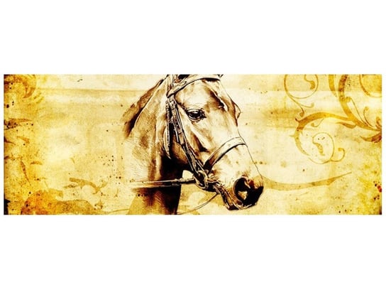 Fototapeta Głowa konia, 2 elementy, 268x100 cm Oobrazy
