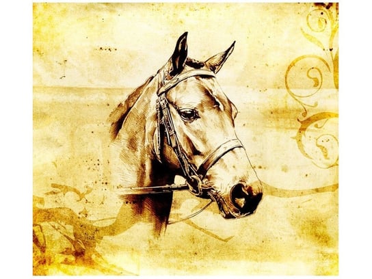 Fototapeta Głowa konia, 6 elementów, 268x240 cm Oobrazy