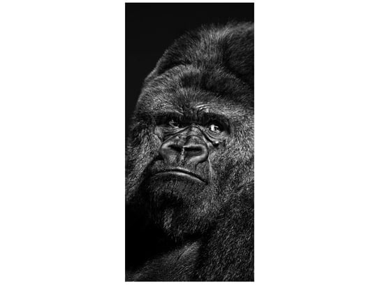 Fototapeta Gorilla Face, 95x205 cm Oobrazy