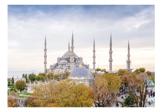 Fototapeta, Hagia Sophia, Stambuł, 100x70 cm DecoNest