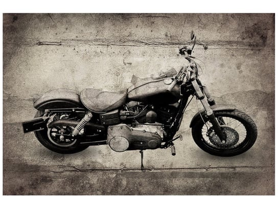 Fototapeta Harley Davidson, 8 elementów, 400x268 cm Oobrazy