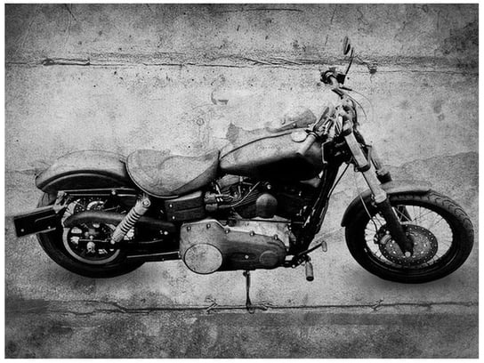 Fototapeta Harley mój, 2 elementy, 200x150 cm Oobrazy