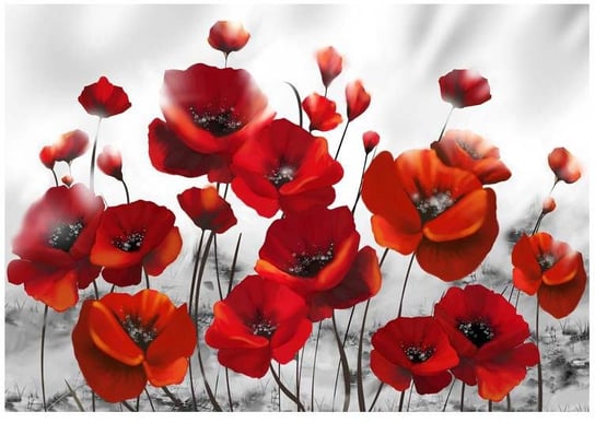 Fototapeta HD Czerwone kwiaty - maki, 150x105 cm zakup.se