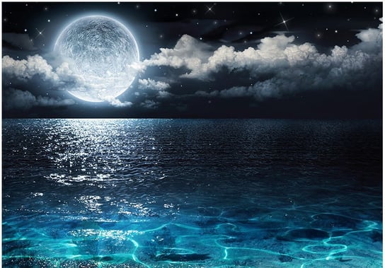 Fototapeta HD: Księżyc nad morzem, 300x210 cm zakup.se