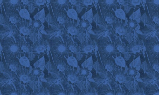 Fototapeta HOMEPRINT Niebieskie słoneczniki 150x150 cm Vinyl Brush HOMEPRINT