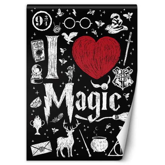 Fototapeta I love magic, Harry Potter- Dr.Monekers 150x210 Feeby