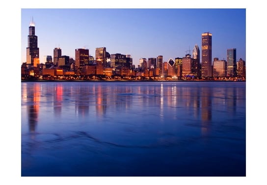 Fototapeta, Icy Downtown Chicago, 250X193 DecoNest