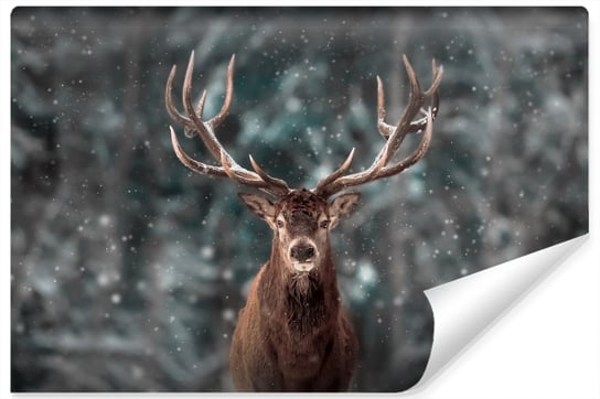 Fototapeta JELEŃ Zimowy Pejzaż Natura 3D 400cm x 280cm Muralo