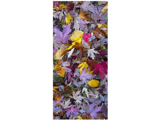 Fototapeta Jesienne kolory, 95x205 cm Oobrazy