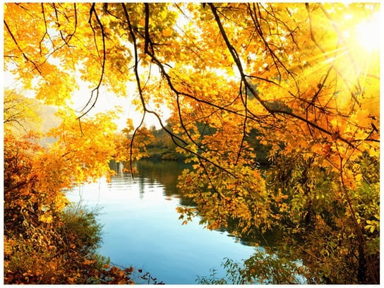 Fototapeta Jesienne słońce nad rzeką, 2 elementy, 200x150 cm Oobrazy