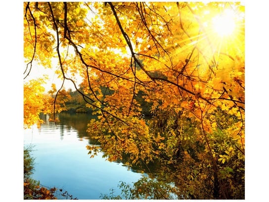 Fototapeta Jesienne słońce nad rzeką, 6 elementów, 268x240 cm Oobrazy