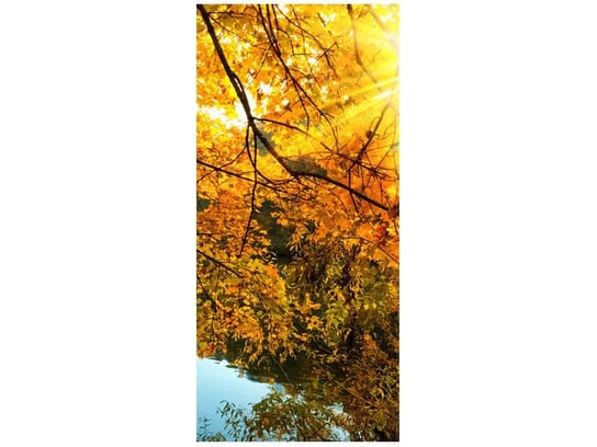 Fototapeta Jesienne słońce nad rzeką, 95x205 cm Oobrazy